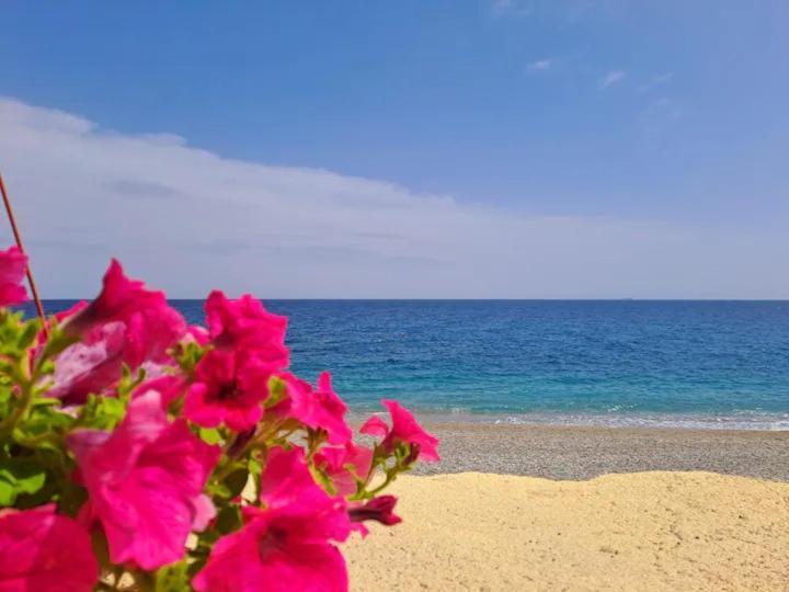 Casa Michela Βίλα Letojanni Εξωτερικό φωτογραφία